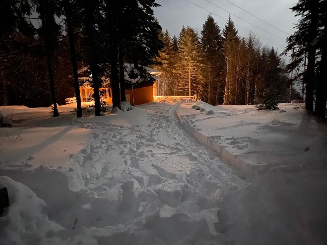 Chalet De Manu Sondernach المظهر الخارجي الصورة